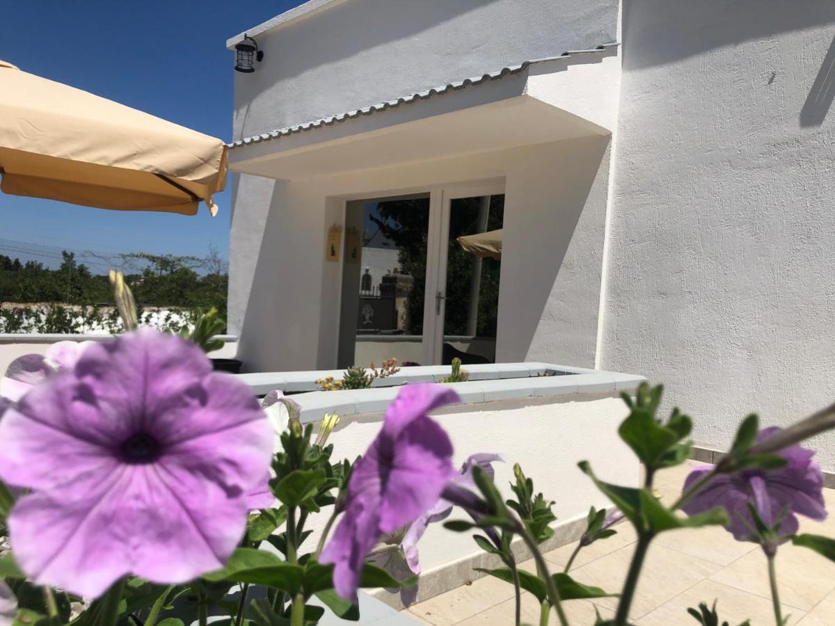 Casa Vacanza I Cedri Martina Franca Luaran gambar